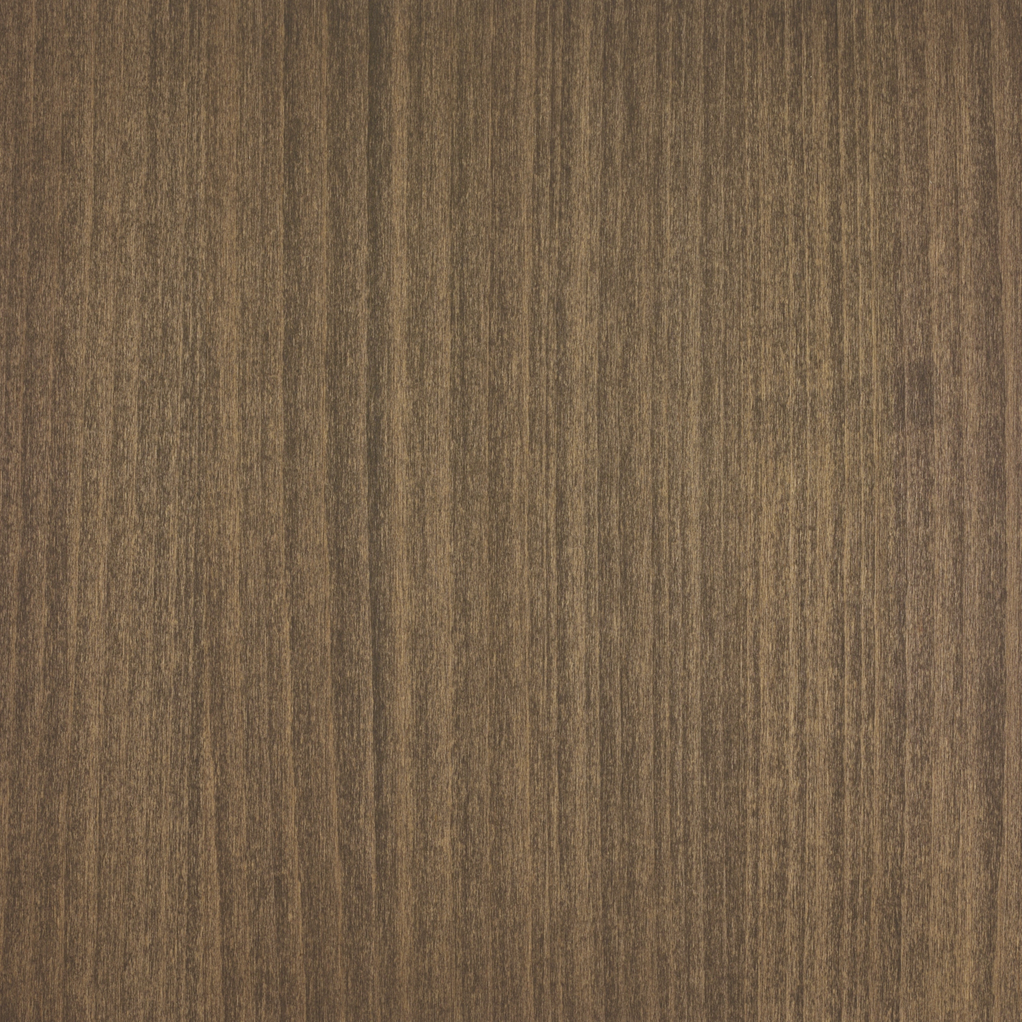 SHELL GREY