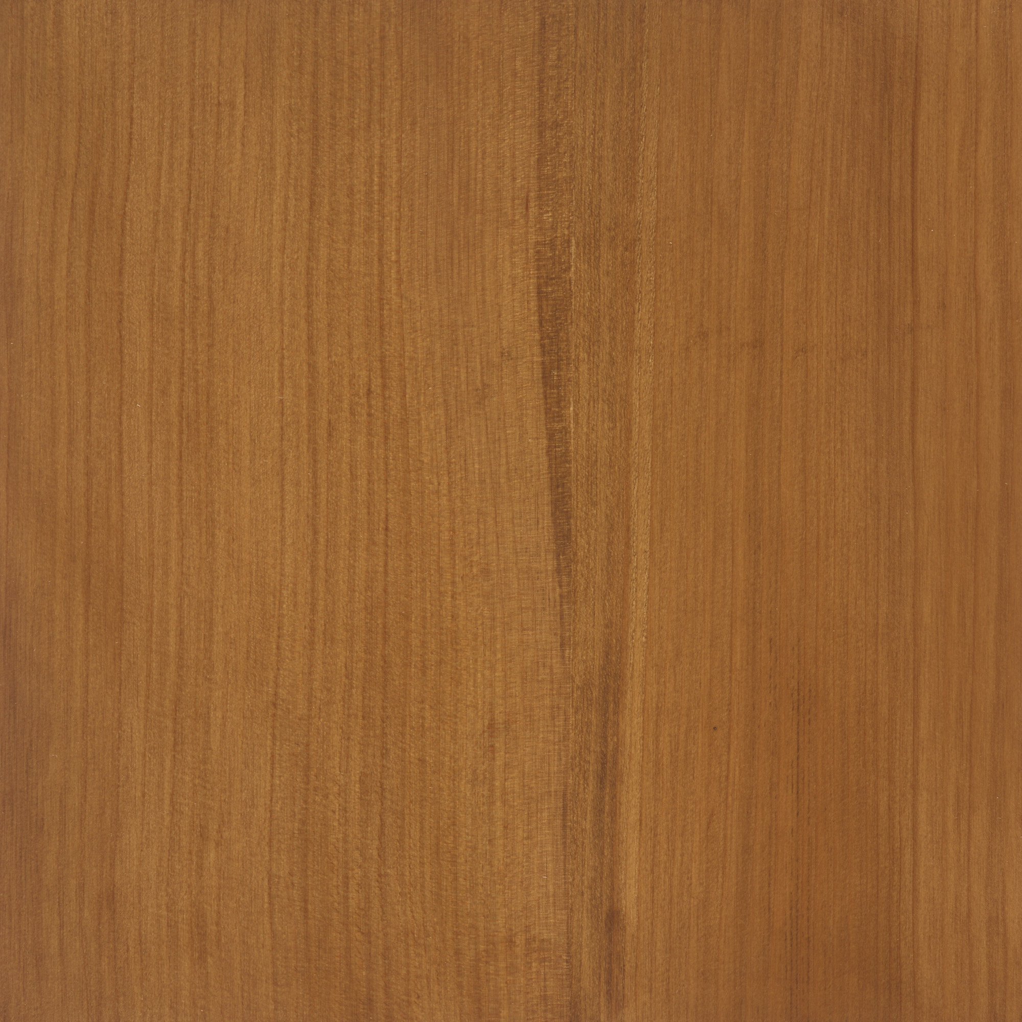 HAZELNUT