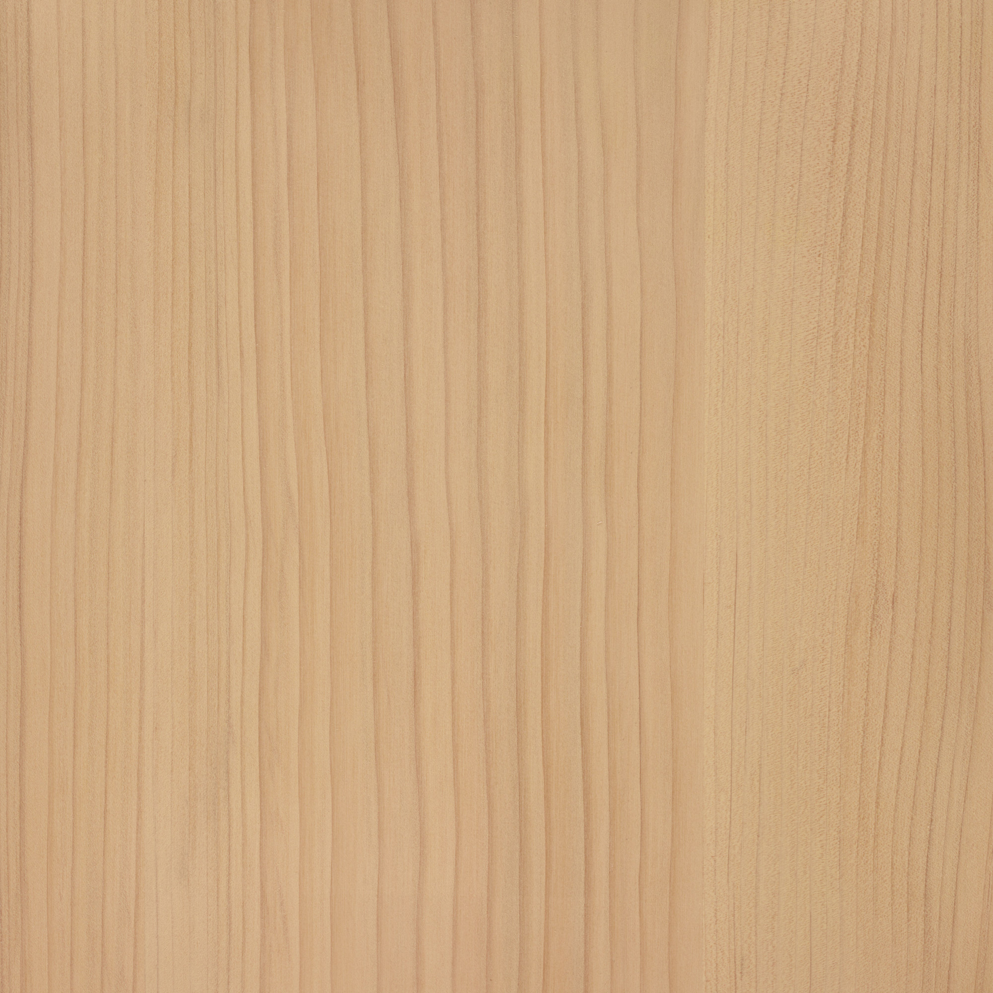 VANILLA