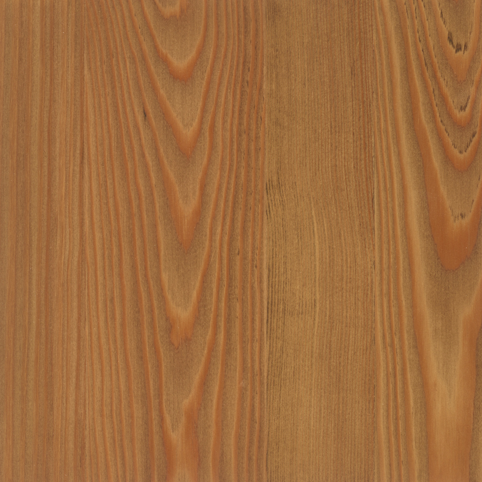 DARK OAK