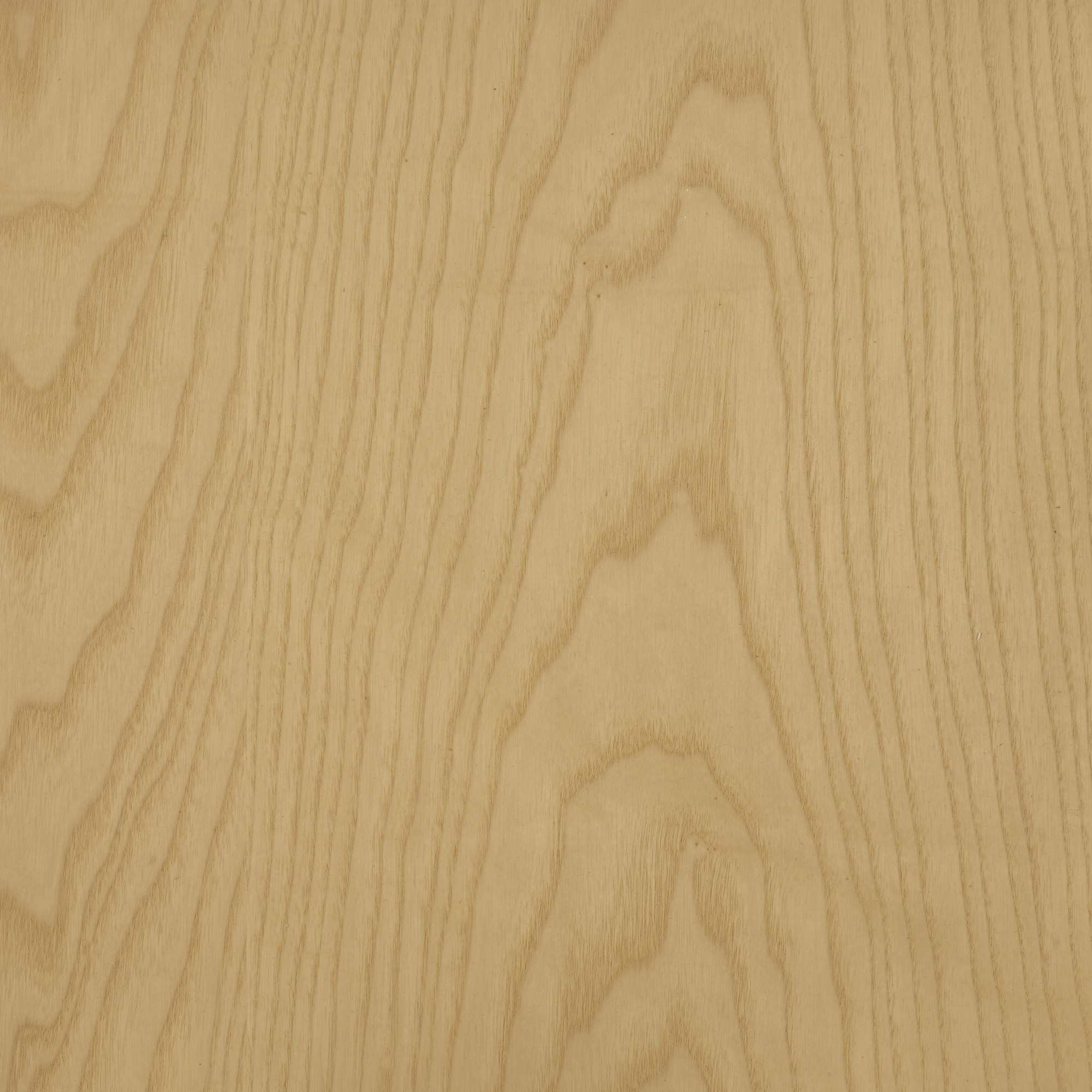 DUNES